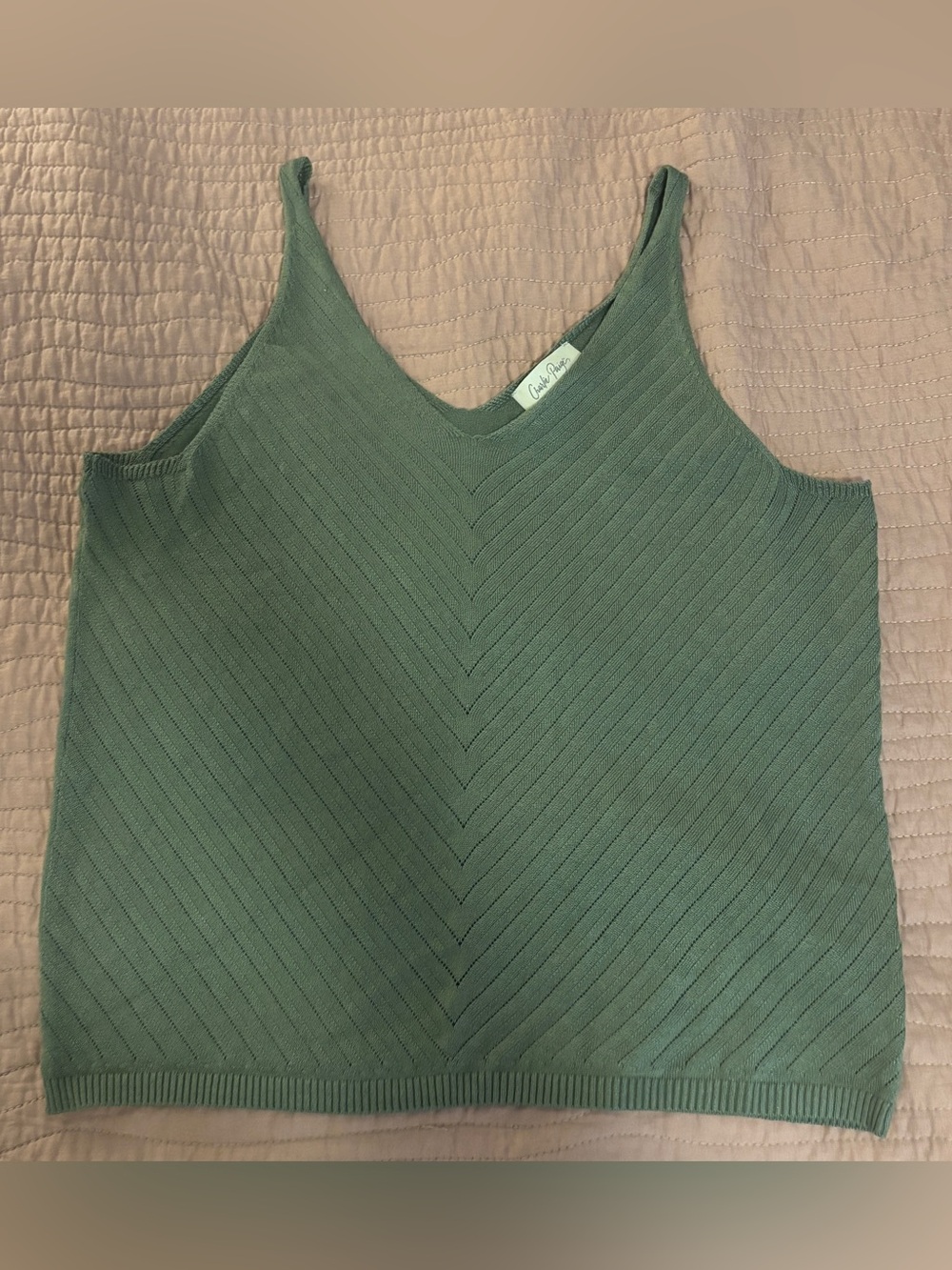 Boutique Charlie Paige Sage Green Ribbed V-Neck Sweater Tank Sz Large NWOT